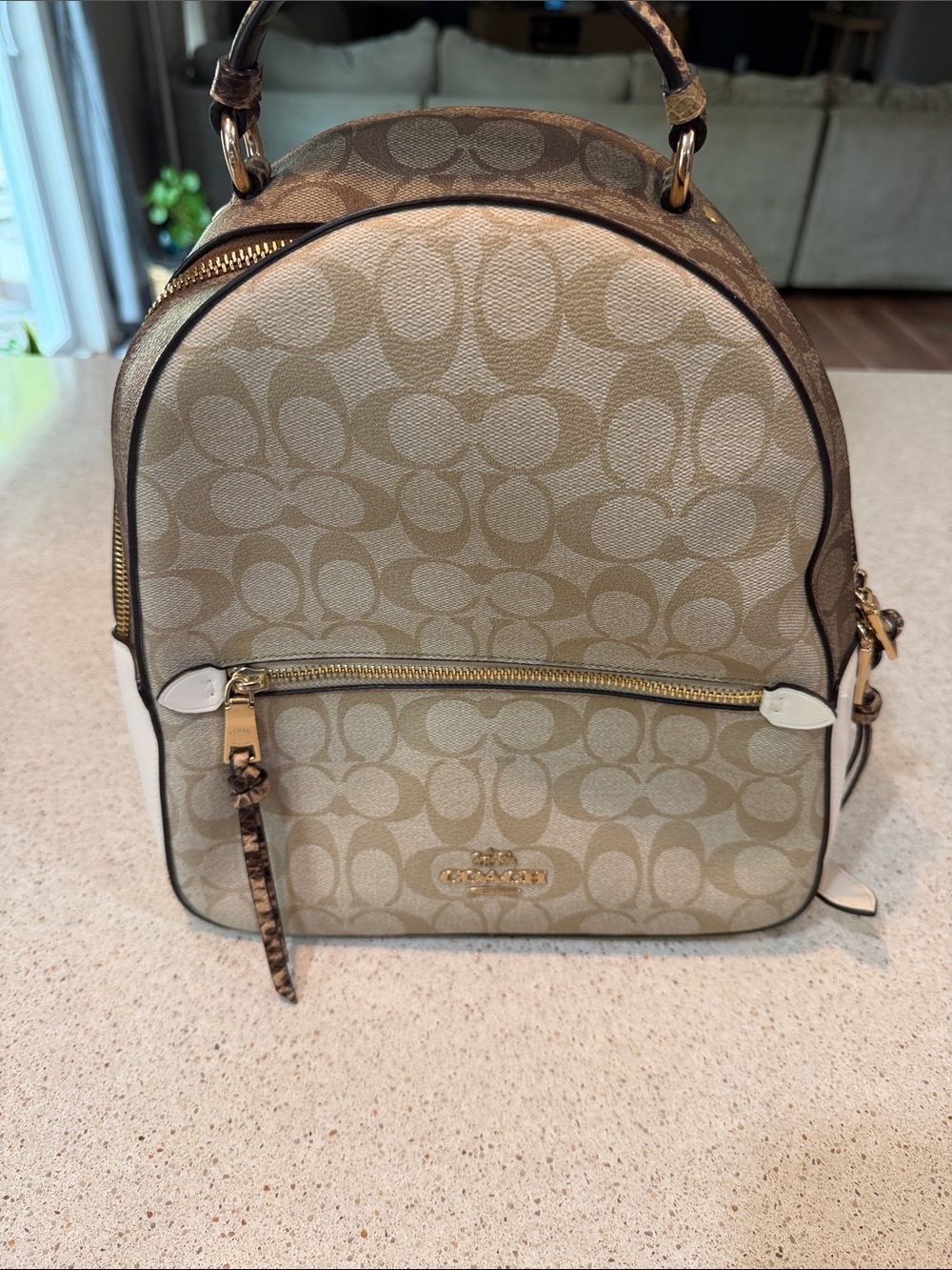 Coach Mini Charlie Backpack 2725 Signature Canvas Khaki Chalk Leather